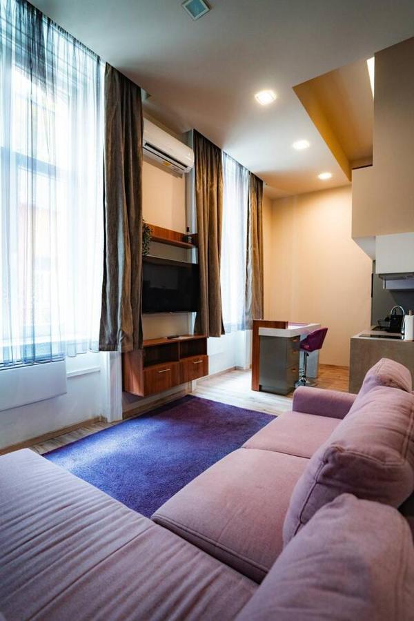 Elizabeth 44 Boulevard Apartment 布达佩斯 外观 照片