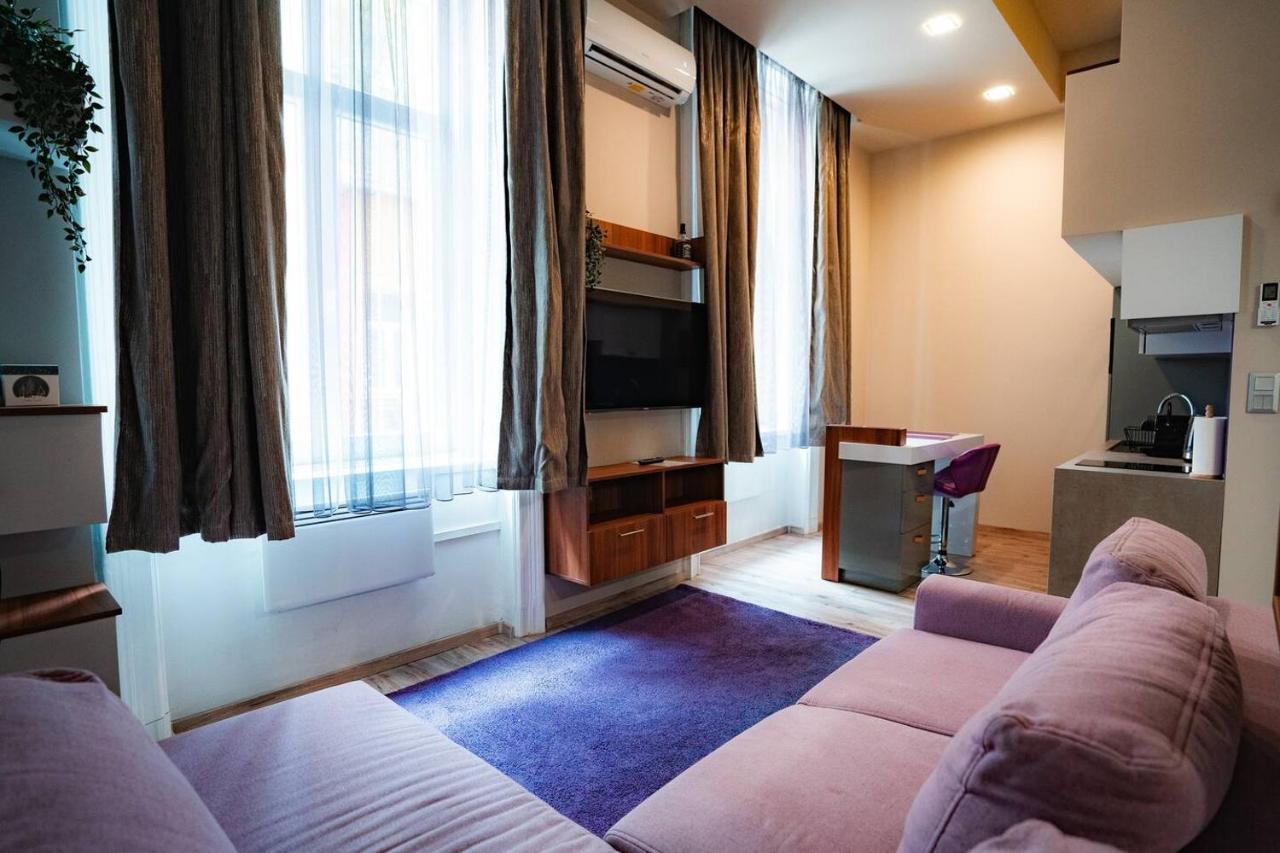 Elizabeth 44 Boulevard Apartment 布达佩斯 外观 照片